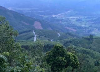 bán nhà vườn Quảng Trị, mua đất làm nhà vườn Đông Hà, nhà vườn nghỉ dưỡng Quảng Trị giá rẻ