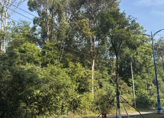 Bán Nhà Đất Đông Hưng Thuận Quận 12