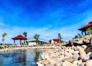 Bất Động Sản Cho Thuê Căn Hộ, Chung Cư, Khách Sạn Xã Xuân Thới Sơn