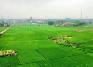 dịch vụ Bán Nhà Đất Phường An Phú Đông, Quận 12