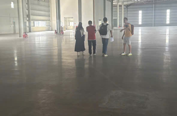 Cho Thuê Kho Xưởng Quận 12 - Diện Tích 2.000m2