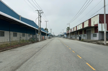 Bán toàn bộ đất, xưởng sản xuất gỗ tại Trảng Bom, Đồng Nai,