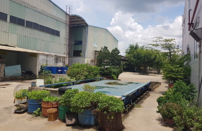 Thuê Mặt bằng kinh doanh Bình Dương