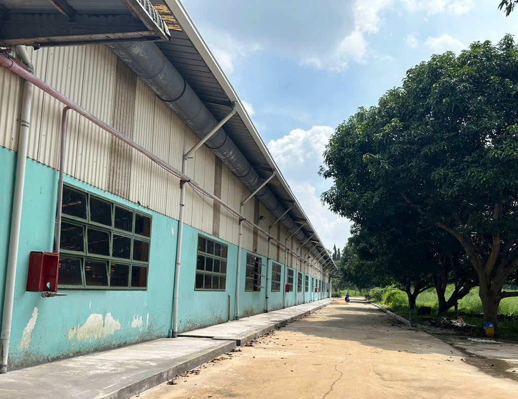 https://raovatbatdongsan.com.vn/tim-kiem/cho-thue-list-mat-bang-kho-xuong-kcn-dat-city-ho-chi-minh