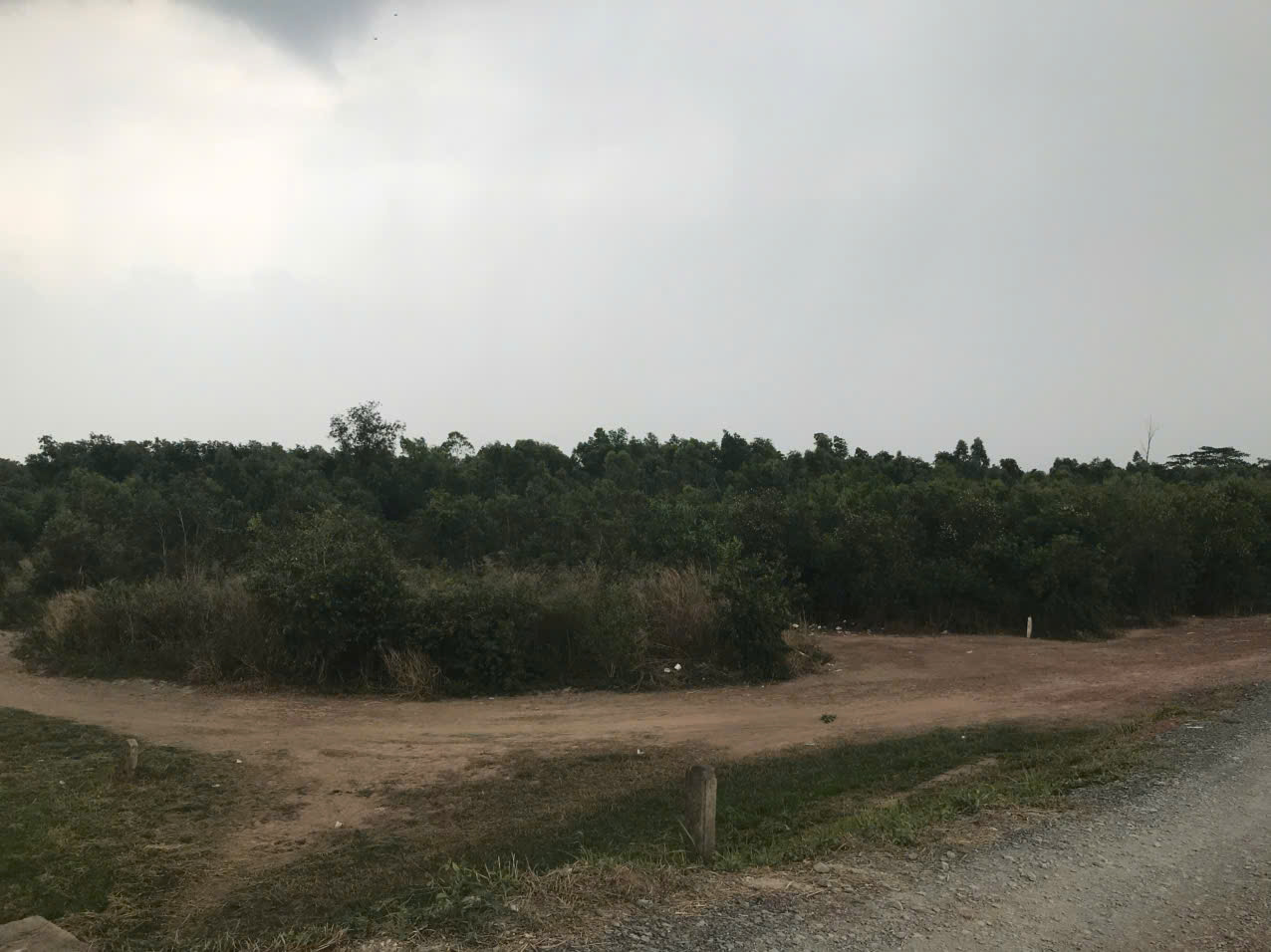 dịch vụ Bán Nhà Đất Phường An Phú Đông, Quận 12