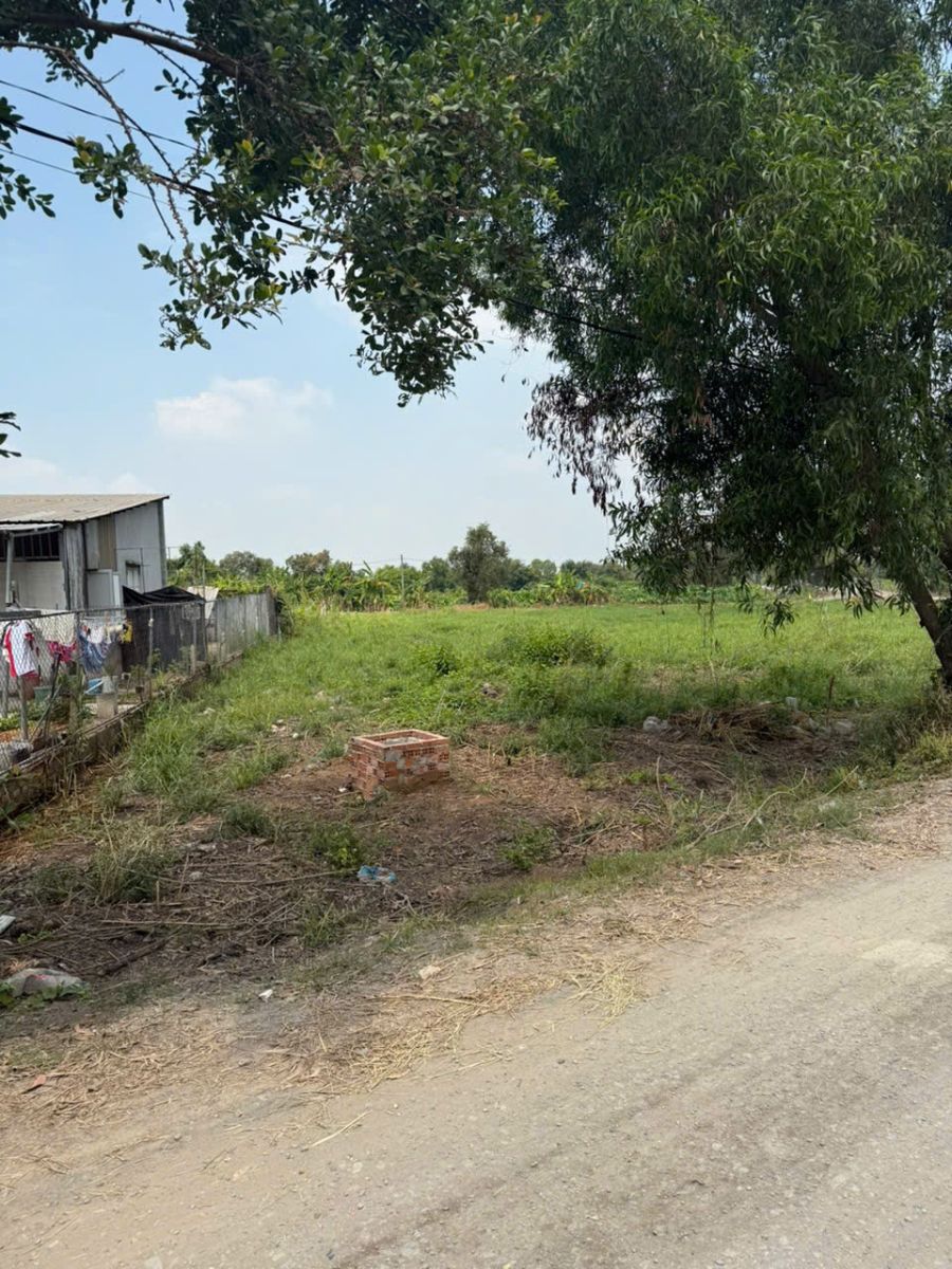 https://raovatbatdongsan.com.vn/tim-kiem/ban-nha-dat-list-ban-kho-xuong-city-dong-nai