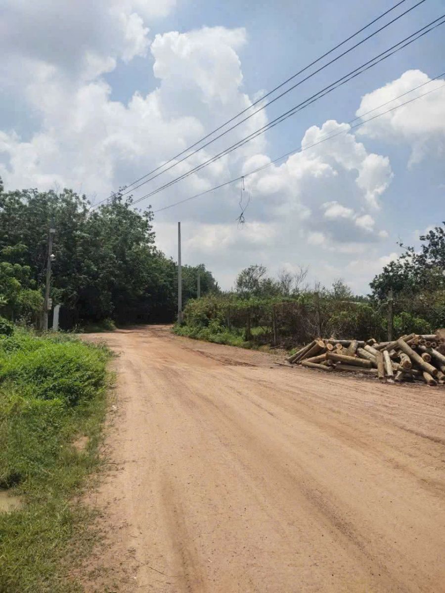 https://raovatbatdongsan.com.vn/tim-kiem/ban-nha-dat-city-tay-ninh