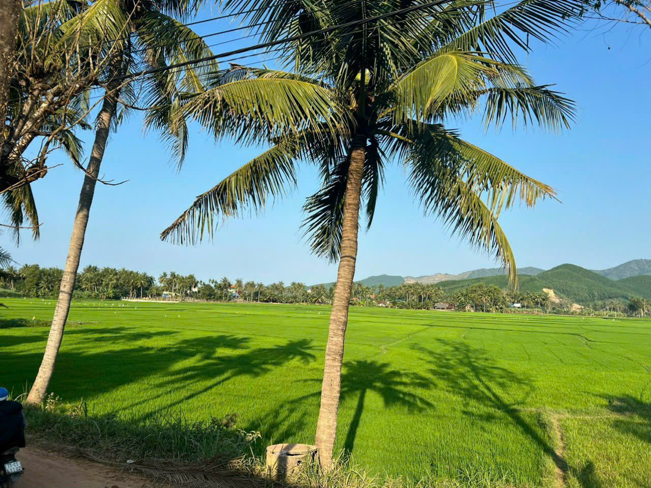 Cho Thuê Bất Động Sản Hiện Nay Nhu cầu thuê nhà ở, văn phòng, mặt bằng kinh doanh tăng trưởng ra sao? Thị trường cho thuê nhà xưởng mặt bằng nhà ở văn phòng biệt thự vila phòng trọ căn hộ đang chứng kiến sự tăng trưởng đáng kể, đặc biệt ở các thành phố lớn và khu công nghiệp. Nhu cầu thuê nhà ở tăng do dân số đô thị hóa, sinh viên và người lao động nhập cư. Các doanh nghiệp vừa và nhỏ (SMEs) và startup thúc đẩy nhu cầu thuê văn phòng và mặt bằng kinh doanh. Sự phục hồi kinh tế sau đại dịch cũng góp phần vào sự tăng trưởng này.  Phân khúc cho thuê nào đang được quan tâm nhất? Hiện nay, một số phân khúc đang nhận được sự quan tâm lớn:  Căn hộ và phòng trọ: Phù hợp với sinh viên, người độc thân và các cặp vợ chồng trẻ. Nhà phố và biệt thự: Dành cho gia đình có nhu cầu không gian rộng rãi và tiện nghi cao cấp. Văn phòng chia sẻ (coworking space): Được ưa chuộng bởi các freelancer, startup và doanh nghiệp nhỏ. Mặt bằng kinh doanh: Đa dạng từ cửa hàng nhỏ lẻ đến trung tâm thương mại lớn. Nhà xưởng: phục vụ nhu cầu sản xuất kinh doanh của các doanh nghiệp. Yếu tố ảnh hưởng đến giá cho thuê bất động sản Giá cho thuê nhà xưởng mặt bằng nhà ở văn phòng biệt thự vila phòng trọ căn hộ chịu ảnh hưởng bởi nhiều yếu tố:  Vị trí: Trung tâm thành phố, khu vực sầm uất có giá cao hơn. Diện tích: Diện tích lớn hơn, giá thuê cao hơn. Tiện ích: Gần trường học, bệnh viện, siêu thị, giao thông công cộng thuận tiện. Tình trạng bất động sản: Nhà mới, sửa chữa đẹp có giá cao hơn. Cung và cầu: Nhu cầu cao, nguồn cung hạn chế đẩy giá lên. Yếu tố kinh tế vĩ mô: Lạm phát, lãi suất ngân hàng. Các từ khóa liên quan đến cho thuê mặt bằng kho xưởng phường an phú đông quận 12 Các từ khóa liên quan có thể là:  'cho thuê kho xưởng An Phú Đông Quận 12' 'cho thuê mặt bằng An Phú Đông Quận 12' 'giá thuê kho xưởng An Phú Đông Quận 12' 'cho thuê nhà xưởng mặt tiền An Phú Đông' Các từ khóa liên quan đến cho thuê mặt bằng kinh doanh nhà hàng, khách sạn, cafe phường an phú đông quận 12 Ví dụ:  'cho thuê mặt bằng kinh doanh nhà hàng An Phú Đông' 'cho thuê mặt bằng mở quán cafe An Phú Đông' 'cho thuê mặt bằng làm khách sạn An Phú Đông' 'giá thuê mặt bằng kinh doanh An Phú Đông' Các từ khóa liên quan đến cho thuê biệt thự phường an phú đông quận 12 Ví dụ:  'cho thuê biệt thự An Phú Đông' 'cho thuê vila An Phú Đông' 'giá thuê biệt thự An Phú Đông Quận 12' 'thuê biệt thự có hồ bơi An Phú Đông' Các từ khóa liên quan đến cho thuê nhà ở phường an phú đông quận 12 Ví dụ:  'cho thuê nhà nguyên căn An Phú Đông' 'cho thuê nhà An Phú Đông giá rẻ' 'thuê nhà An Phú Đông Quận 12 chính chủ' 'giá thuê nhà An Phú Đông' Lợi Ích Của Việc Thuê Nhà Xưởng, Mặt Bằng, Nhà Ở, Văn Phòng, Biệt Thự, Vila, Phòng Trọ, Căn Hộ Ưu điểm về chi phí và tính linh hoạt Việc cho thuê nhà xưởng mặt bằng nhà ở văn phòng biệt thự vila phòng trọ căn hộ mang lại nhiều lợi ích về chi phí và tính linh hoạt:  Tiết kiệm chi phí đầu tư ban đầu: Không cần bỏ ra số tiền lớn để mua bất động sản. Linh hoạt về tài chính: Dễ dàng điều chỉnh quy mô thuê phù hợp với tình hình kinh doanh. Giảm thiểu rủi ro: Tránh được rủi ro về giá bất động sản giảm. Dễ dàng thay đổi địa điểm: Thuận tiện di chuyển khi có nhu cầu. Khả năng mở rộng và thay đổi quy mô dễ dàng Khi thuê nhà xưởng mặt bằng nhà ở văn phòng biệt thự vila phòng trọ căn hộ, bạn có thể dễ dàng:  Mở rộng quy mô: Thuê thêm diện tích khi doanh nghiệp phát triển. Thu hẹp quy mô: Trả bớt diện tích khi kinh doanh gặp khó khăn. Thay đổi loại hình bất động sản: Chuyển từ văn phòng nhỏ sang văn phòng lớn hơn, hoặc từ nhà phố sang biệt thự. Các từ khóa liên quan đến cho thuê căn hộ phòng trọ Ví dụ:  'cho thuê căn hộ Quận 12 giá rẻ' 'cho thuê phòng trọ sinh viên Quận 12' 'thuê căn hộ dịch vụ Quận 12' 'giá thuê căn hộ chung cư Quận 12' Các từ khóa liên quan đến cho thuê mặt bằng đất trống Ví dụ:  'cho thuê đất trống Quận 12' 'thuê đất làm kho bãi Quận 12' 'cho thuê đất mặt tiền đường Quận 12' 'giá thuê đất trống Quận 12' Các từ khóa liên quan đến ch thuê kiot mặt bằng spa Ví dụ:  'cho thuê kiot Quận 12' 'cho thuê mặt bằng spa Quận 12' 'thuê kiot kinh doanh nhỏ Quận 12' 'giá thuê mặt bằng spa Quận 12' Các từ khóa liên quan đến cho thuê mặt bằng kho xưởng phường an phú đông quận 12 hcm Ví dụ:  'cho thuê mặt bằng kho xưởng An Phú Đông' 'giá thuê kho xưởng An Phú Đông Quận 12' 'cho thuê xưởng sản xuất An Phú Đông' 'thuê kho chứa hàng An Phú Đông' Những Lưu Ý Quan Trọng Khi Tìm Thuê Bất Động Sản Xác định rõ nhu cầu và ngân sách Trước khi tìm kiếm cho thuê nhà xưởng mặt bằng nhà ở văn phòng biệt thự vila phòng trọ căn hộ, bạn cần xác định rõ:  Mục đích sử dụng: Thuê để ở, kinh doanh, hay sản xuất? Diện tích cần thiết: Bao nhiêu mét vuông là đủ? Ngân sách: Có thể chi trả tối đa bao nhiêu mỗi tháng? Vị trí ưu tiên: Gần trung tâm, khu công nghiệp, hay khu dân cư? Tiện ích mong muốn: Gần trường học, bệnh viện, siêu thị? Kiểm tra kỹ lưỡng hợp đồng thuê Hợp đồng thuê là văn bản pháp lý quan trọng, cần được kiểm tra kỹ lưỡng trước khi ký kết:  Thông tin các bên: Đảm bảo thông tin chính xác. Mô tả bất động sản: Diện tích, vị trí, tình trạng. Giá thuê và phương thức thanh toán: Rõ ràng và minh bạch. Thời hạn thuê: Bắt đầu và kết thúc khi nào. Quyền và nghĩa vụ của các bên: Đọc kỹ các điều khoản. Điều khoản chấm dứt hợp đồng: Trong trường hợp nào. Đánh giá vị trí và tiện ích xung quanh Vị trí và tiện ích xung quanh ảnh hưởng lớn đến giá trị và hiệu quả sử dụng của bất động sản cho thuê nhà xưởng mặt bằng nhà ở văn phòng biệt thự vila phòng trọ căn hộ:  Giao thông: Thuận tiện đi lại, kết nối với các khu vực khác. An ninh: An toàn, có bảo vệ, camera giám sát. Tiện ích: Gần trường học, bệnh viện, siêu thị, chợ, khu vui chơi. Môi trường: Xanh, sạch, không ô nhiễm. Xu Hướng Cho Thuê Bất Động Sản Trong Tương Lai Công nghệ và ứng dụng trong quản lý cho thuê Công nghệ đang thay đổi cách quản lý và tìm kiếm cho thuê nhà xưởng mặt bằng nhà ở văn phòng biệt thự vila phòng trọ căn hộ:  Ứng dụng tìm kiếm bất động sản: Dễ dàng tìm kiếm thông tin, so sánh giá. Quản lý cho thuê trực tuyến: Thu tiền thuê, quản lý hợp đồng, bảo trì. Nhà thông minh: Tiết kiệm năng lượng, tăng cường an ninh. Thực tế ảo (VR): Xem nhà từ xa, trải nghiệm không gian thực tế. Sự phát triển của các loại hình cho thuê mới Các loại hình cho thuê mới xuất hiện để đáp ứng nhu cầu đa dạng của thị trường:  Coliving: Sống chung, chia sẻ không gian và tiện ích. Coworking: Làm việc chung, chia sẻ văn phòng. Serviced apartment: Căn hộ dịch vụ, đầy đủ tiện nghi. Micro apartment: Căn hộ nhỏ, tối ưu hóa không gian.