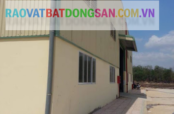 Cho thuê nhà xưởng Tân Uyên, Bình Dương 12.000m2 Xã Tân Vĩnh Hiệp, Tân Uyên, Bình Dương