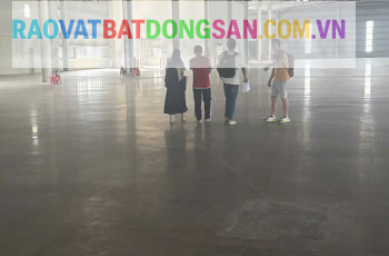 Cho Thuê Kho Xưởng Quận 12 - Diện Tích 2.000m2