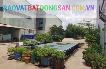 Thuê Mặt bằng kinh doanh Bình Dương