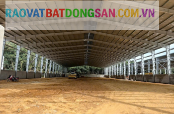 Cho Thuê Nhà Xưởng KCN Tân Đô, Huyện Đức Hòa - 12.000m2, Giá 3.5 USD/m2