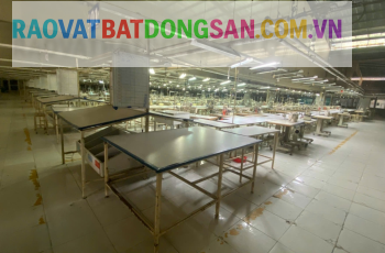Cho thuê kho xưởng 5800m2 Tân Thới Nhất 8, P. Tân THới Nhất, Quận 12