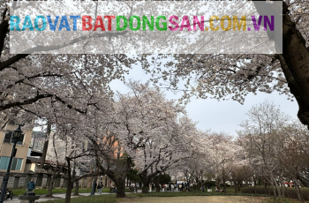 Bán đất trong KCN Long An, 5.000m2 30.000m2