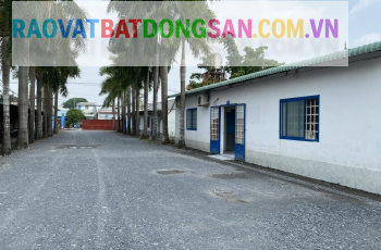 Nhà xưởng cho thuê tại Củ Chi