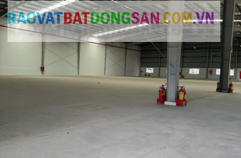 Cho thuê kho 6.500m2, ngoài KCN Tân An, Long An