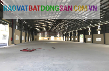 Cho thuê kho 5.000m2 Đường Võ Nguyên Giáp, Phường Phước Tân