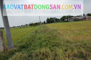 CHO THUÊ NHÀ VƯỜN MẶT TIỀN VÕ THỊ PHẢI – Q.12